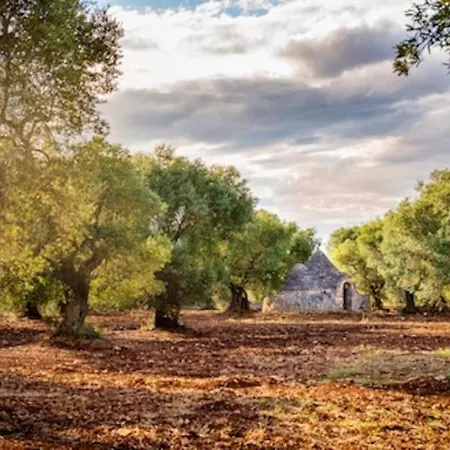 Apartament Casa Caterina *