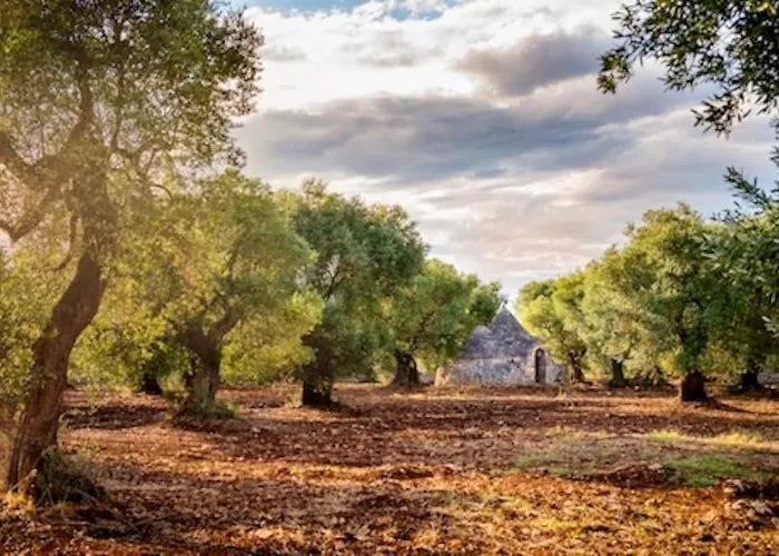 Apartament Casa Caterina *